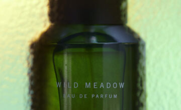 green wild meadow